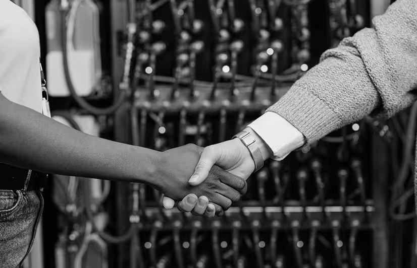 Escudo que simboliza la seguridad y el hosting con certificado SSL incluido.